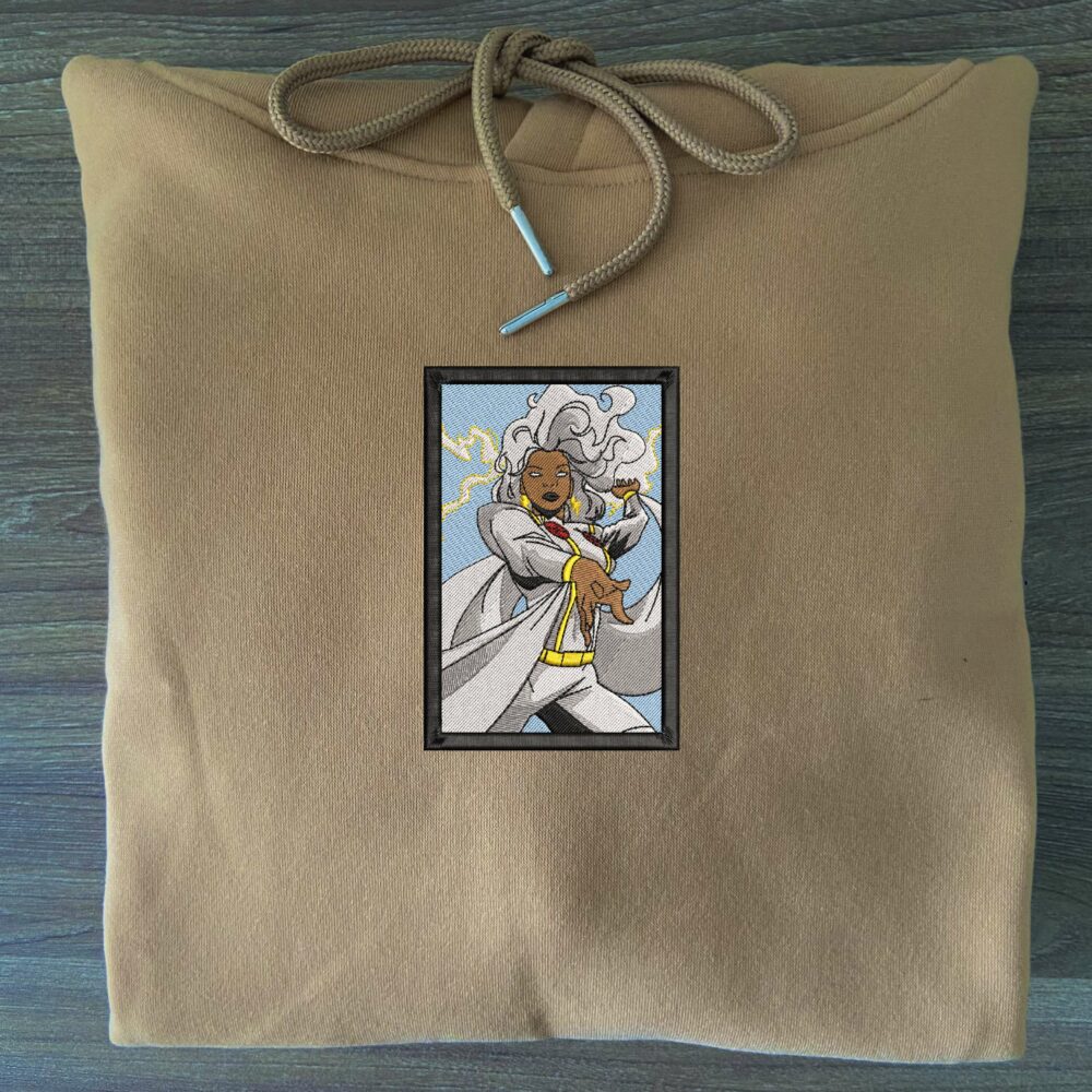 Storm Embroidered Hoodie 3.jpg