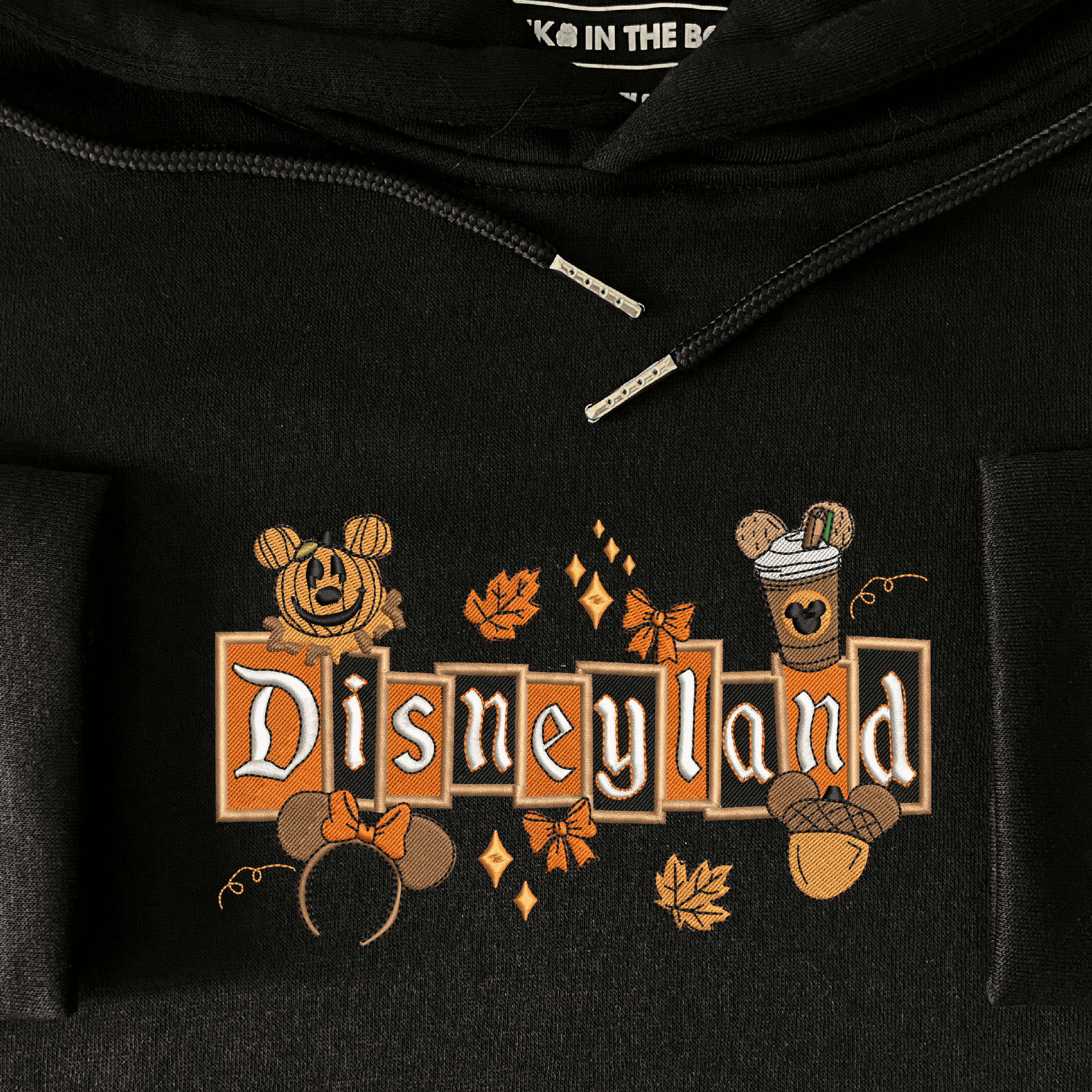 Disneyland Embroidered (10)