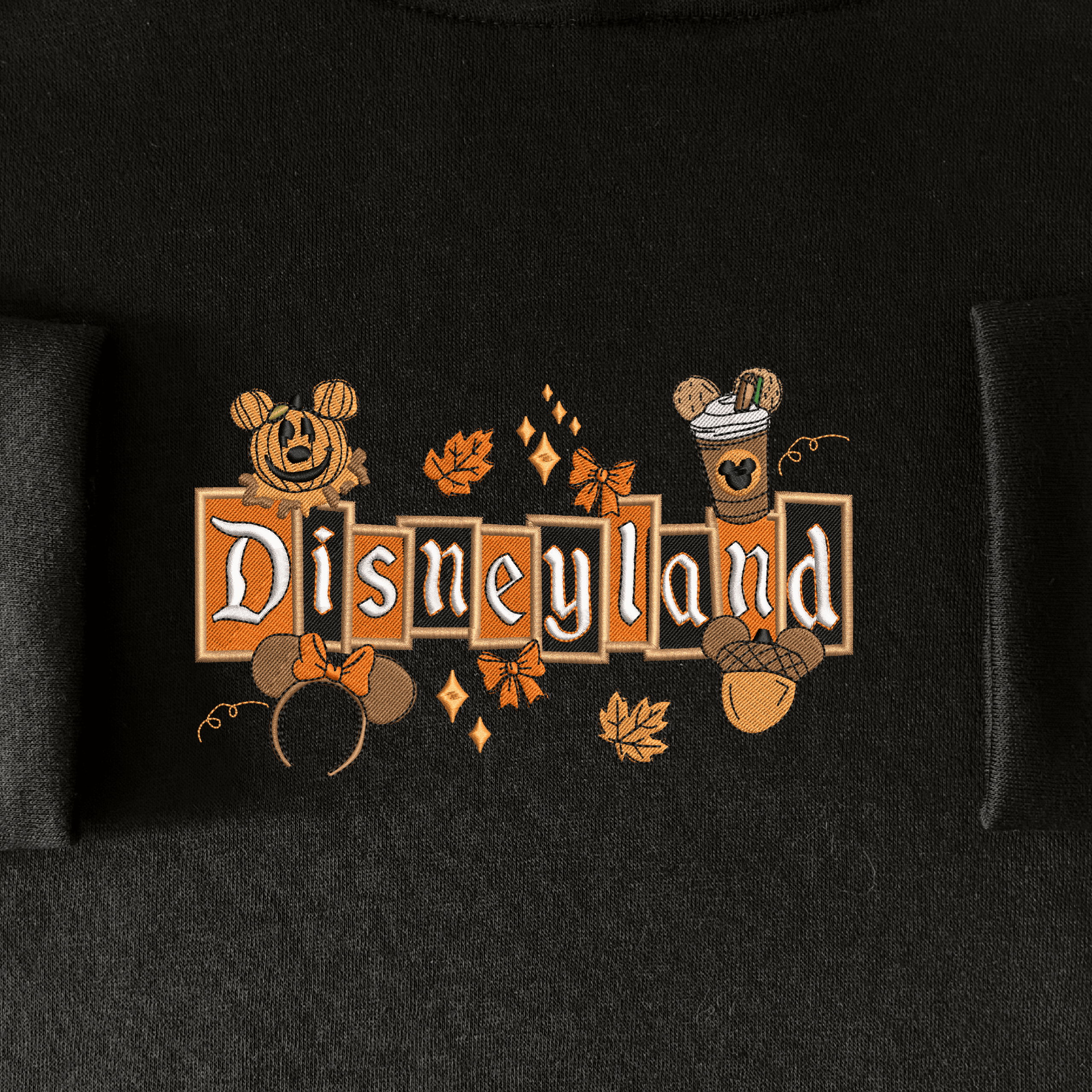Disneyland Embroidered (11)