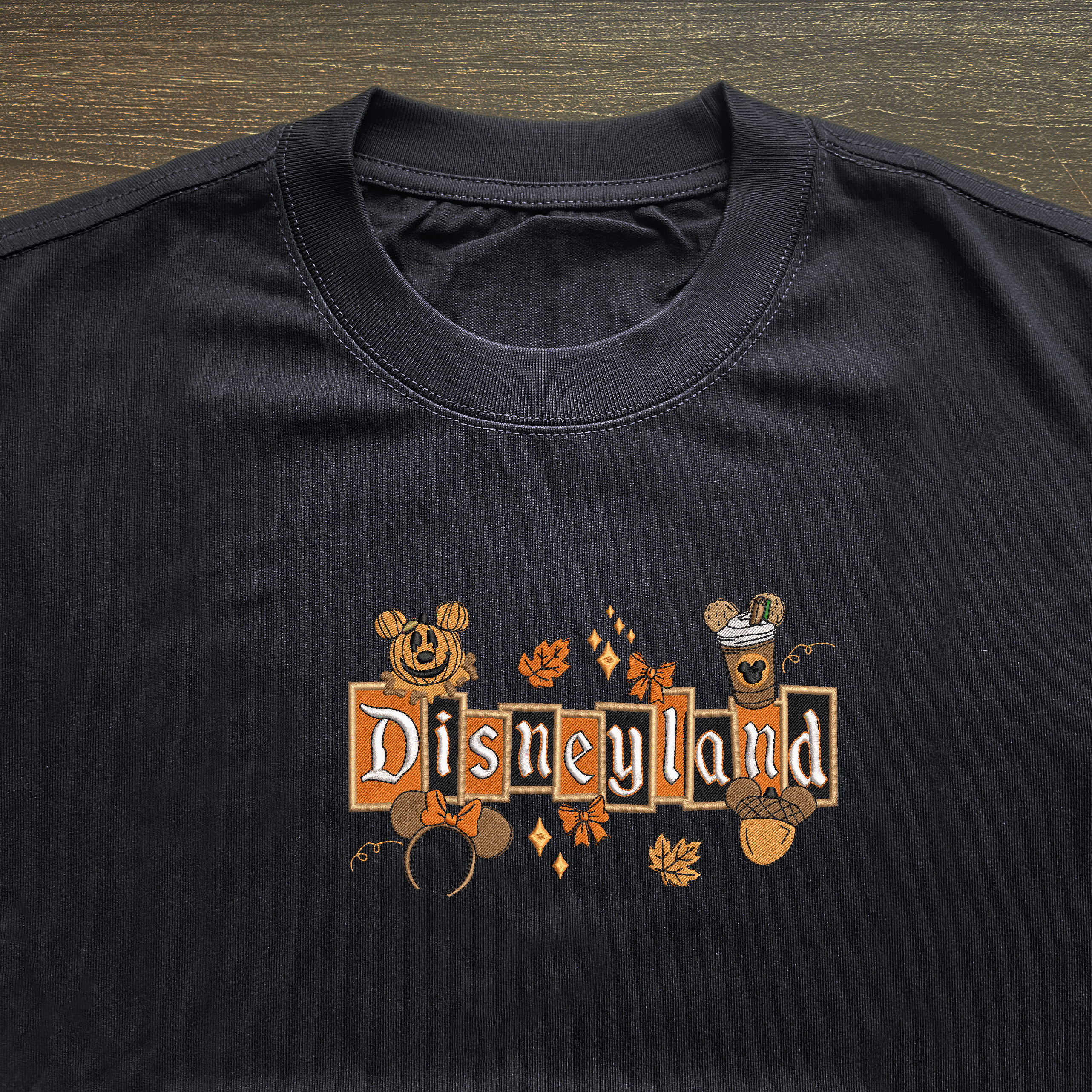 Disneyland Embroidered (13)